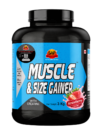 SAP Nutrition Muscle & Size Gainer with Creatine | 11g Protein Per Serving